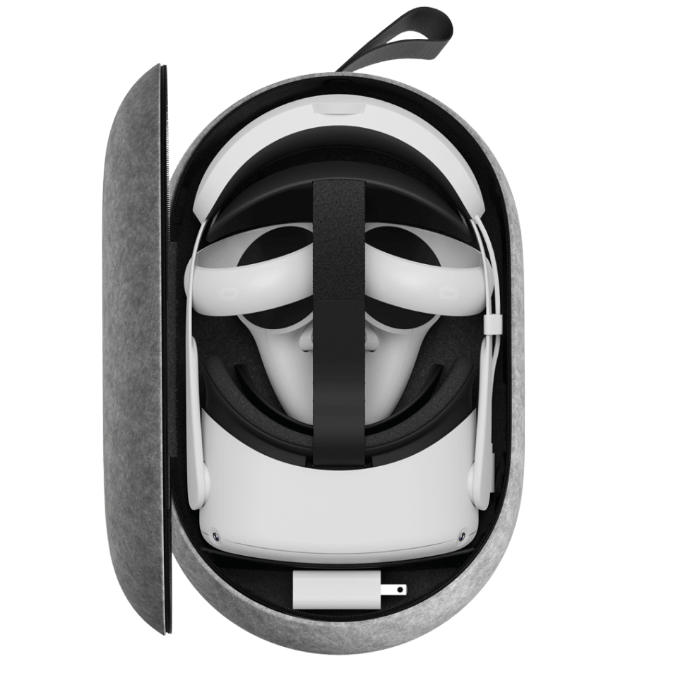 carrying case small.png